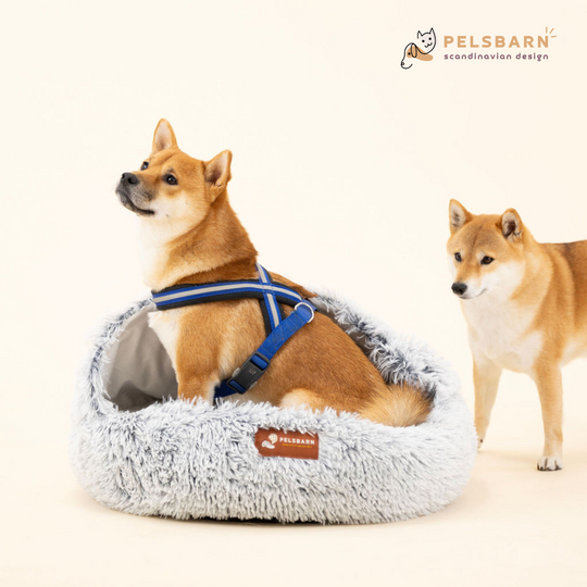 Pelsbarn bed